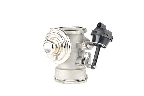 Egr Valfi  Seat Alhambra (7V9)(05.2000->)  BSG 90-836-005