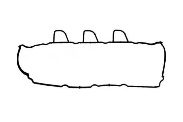 Üst Kapak Contası (Külbütör)  Renault Scenic III (04.2009->)  ROYAL H2 455047