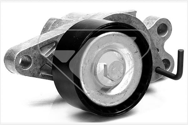 Vantilatör Kayış Gergi Rulmanı  Peugeot 206 + (02.2009->)  KRAFTVOLL 14030232