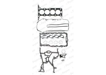 Takım Conta  PAYEN CH5030  1606247 93177869