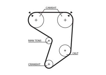 Triger Kayışı  GATES 5196  1356843030 PMTB115 13568-43030 1356849055 13568-49055