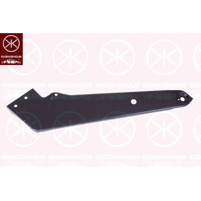 Far Sacı Sağ BOEM 3G0805932