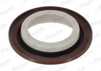 Krank Keçesi Arka PAYEN NA5498  122793304R 12 27 933 04R 122795525R 12 27 955 25R A2819970046 A 281 997 00 46 1227900Q0E 12279-00Q0E 1227900Q0H 12279-00Q0H 2819970046 281 997 00 46 2820170200 282 017 02 00