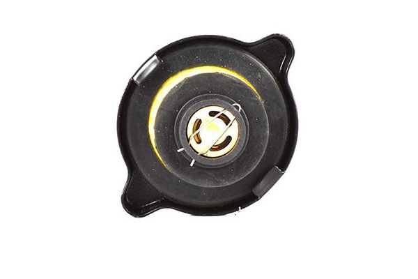 Radyatör Yedek Su Depo Kapağı  BSG 30-551-004