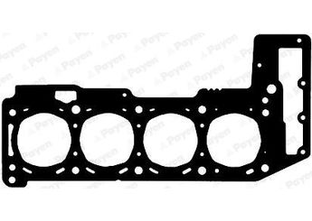 Silindir Kapak Contası  PAYEN AG7300  209FJ 504093501