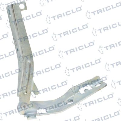 Motor Kaput Menteşesi Sağ Peugeot 206 (08.1998->)  PSA ORJINAL 791332