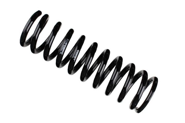 Helezon Yayı Arka BSG 60-305-049