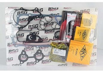 Takım Conta  ROYAL T437699  2S6Q 6008