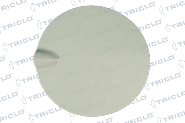 Yakıt Depo Kapağı  CABU 331613