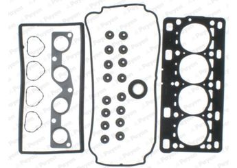 Takım Conta  PAYEN CD5981  7701473003