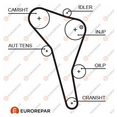 Triger Kayışı  Volkswagen Polo III Variant (6V5)(05.1997->2002)  EUROREPAR 1633129180