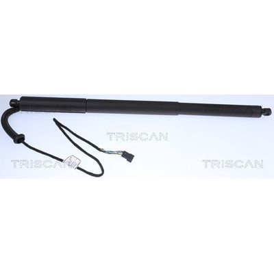 Bagaj Amortisörü Sol BMW X3 Serisi (F25)(03.2011->)  BSG 15-980-084