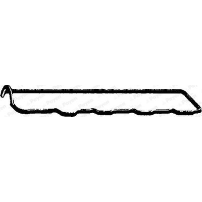 Üst Kapak Contası (Külbütör)  Mitsubishi Space Gear (PA0)  PAYEN JN403