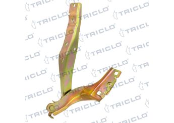 Motor Kaput Menteşesi Sağ BITAPART BPE276039  791344