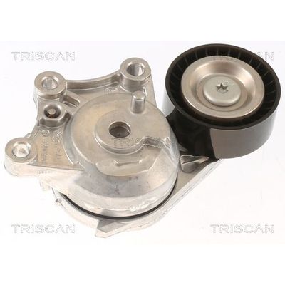 Vantilatör Kayış Gergi Rulmanı  Peugeot 308 (07.2013->)  PSA ORJINAL 1631481480