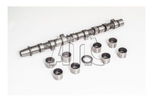 Eksantrik Mili  GEMSAFT MAMZD01