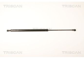 Bagaj Amortisörü Sağ veya Sol PSA ORJINAL 8731P9  8731P9 8731.P9 8731Q0 8731.Q0