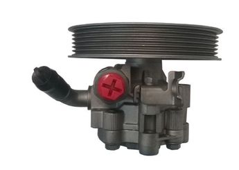 Direksiyon Pompası  SPIDAN GKNY10099  4431002070 44310-02070