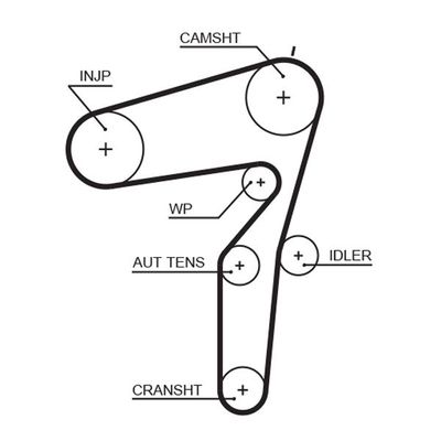 Triger Kayışı  Alfa Romeo 166 (2003->)  GATES 5600XS