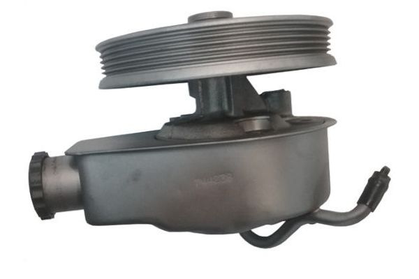 Direksiyon Pompası  SPIDAN GKNY10090