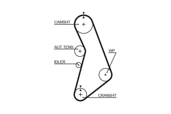 Triger Kayışı  Seat Alhambra (7V8)(01.1996->)  GATES T306RB