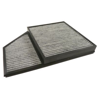 Polen Filtresi  BSG 01-145-005