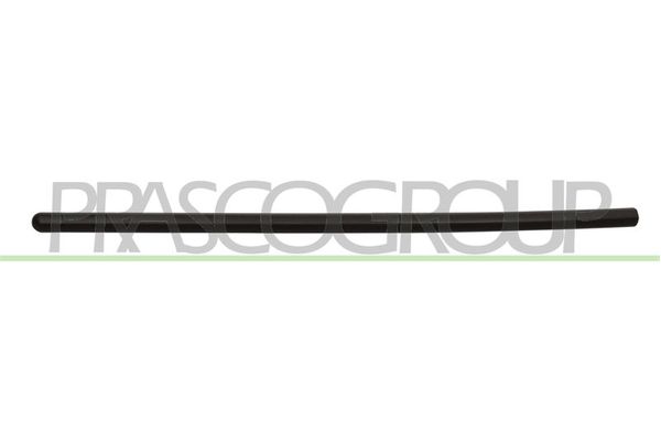 Kapı Bandı Ön Sağ veya Sol SOMAG 6001546710-I