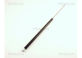 Bagaj Amortisörü Sağ veya Sol FROW 308.1647.003  8731C3 8731.C3