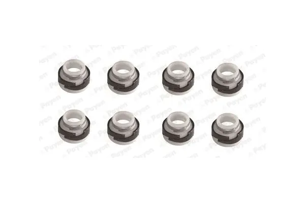 Supap Lastiği  ZEGEN ZGS476