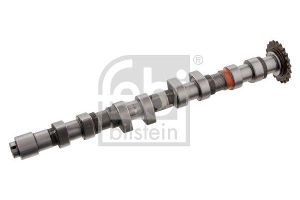 Eksantrik Mili  Seat Alhambra (7V8)(01.1996->)  FEBI BILSTEIN 33013