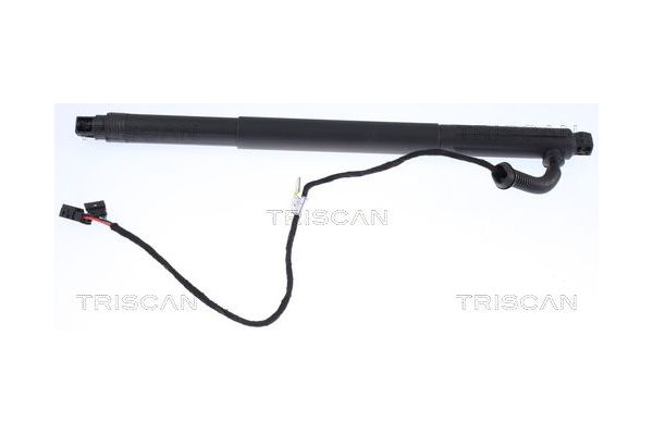 Bagaj Amortisörü Sol BMW X6 Serisi (E71/E72)(07.2008->)  ASPART 7GSP1154