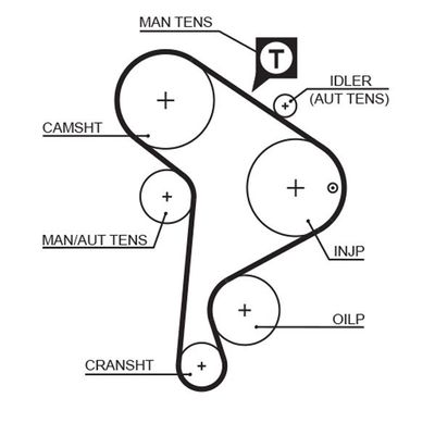 Triger Kayışı  Volkswagen Golf III Cabriolet (1E7)(03.1998->2002)  GATES 5223XS