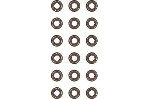 Supap Lastiği  REINZ 12-36154-02