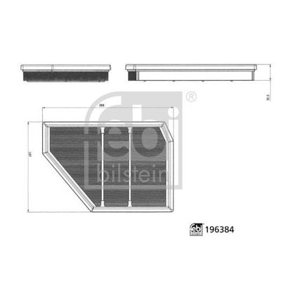 Hava Filtresi  BMW X6 M Serisi (F96)(2019->)  FEBI BILSTEIN 196384