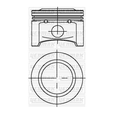 Piston (78.10MM-STD)  NÜRAL 8771666050000G