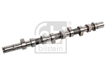 Eksantrik Mili  FEBI BILSTEIN 176351  8200255678 1300100Q0F 13001-00Q0F 1300100Q0M 13001-00Q0M 1300100QAG 13001-00QAG 13001BN700 13001-BN700 82002-55678 8200089894 82 00 089 894 8200190228 82 00 190 228 82 00 255 678 8200987301 82 00 987 301