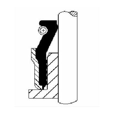 Supap Lastiği  REINZ 123719402