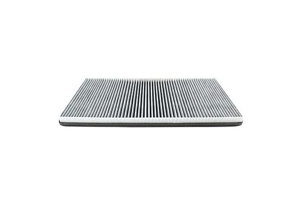 Polen Filtresi  BMW X5 Serisi (E53)(2000->)  BSG 15-145-003