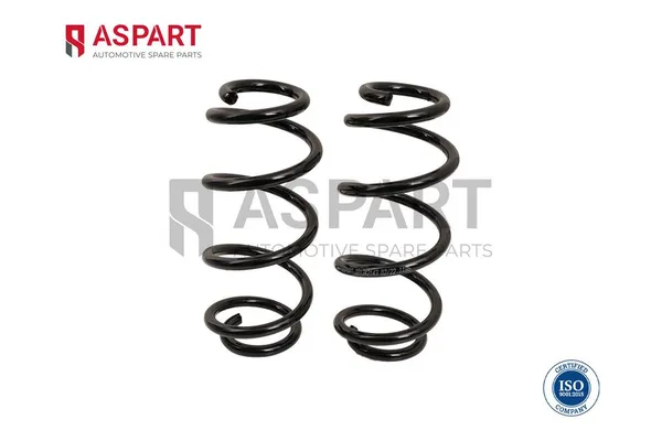 Helezon Yayı Arka ASPART 1CSP1124