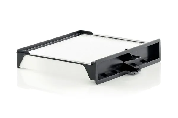 Polen Filtresi  MANN CU 2430