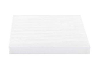 Polen Filtresi  BSG 40-145-008  971332B010 971333K000