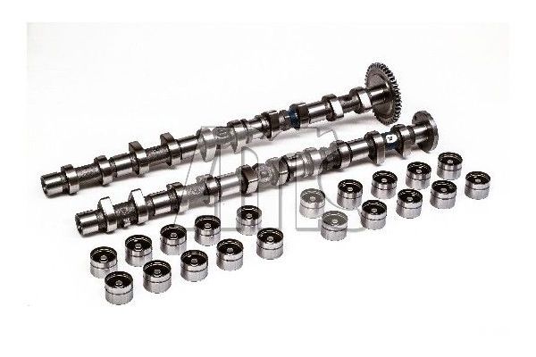 Eksantrik Mili  ESTAS 33109