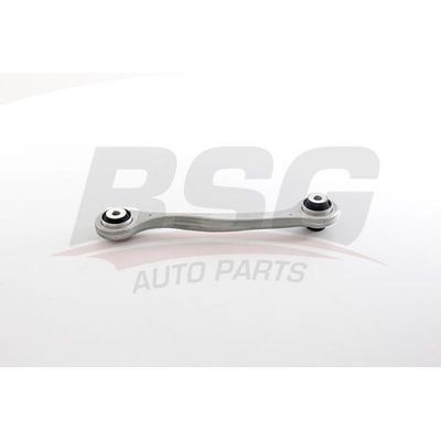 Denge Kolu Arka Sağ BSG 60-315-084