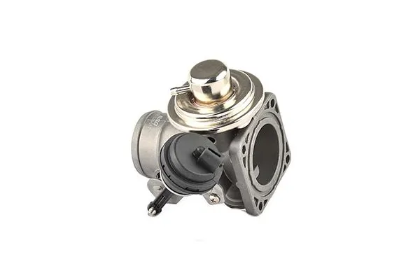 Egr Valfi  BSG 90-836-015