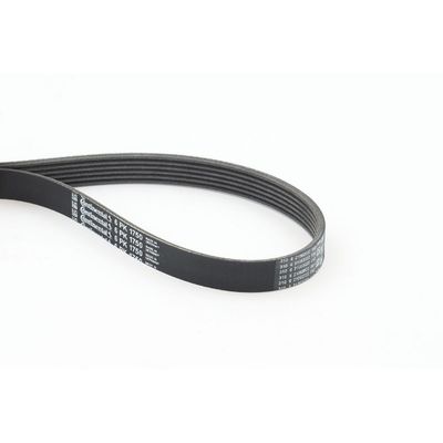 Vantilatör Kayışı  Ford Puma (CCE)(06.1997->)  CONTINENTAL 6PK1750