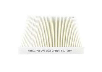 Polen Filtresi  BSG 70-145-002  6479A1 6447HP 6447KR 9643147580 E146068 E146151