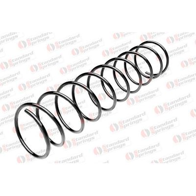 Helezon Yayı Arka FROW 169.1233.002