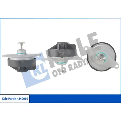 Egr Valfi  SWAPP 51302