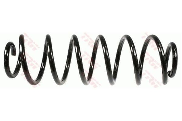 Helezon Yayı Arka TRW JCS153