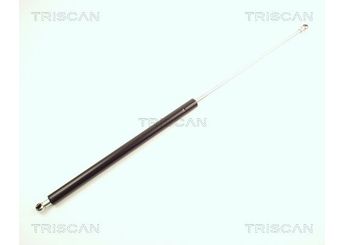 Bagaj Amortisörü Sağ veya Sol FROW 396.1650.019  30803472